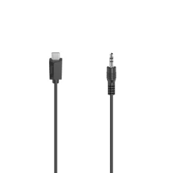 Audio-Kabel, USB-C-Stecker - 3,5-mm-Klinken-Stecker, Stereo, 0,75 m