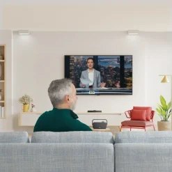 Lautsprecher für Fernseher, 2,4-GHz-Station + Bluetooth®, tragbar, stereo