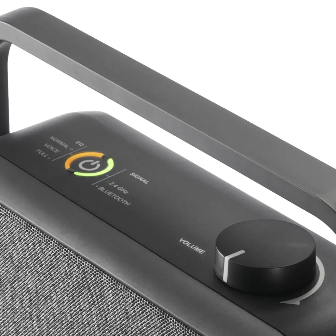 Lautsprecher für Fernseher, 2,4-GHz-Station + Bluetooth®, tragbar, stereo