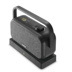 Lautsprecher für Fernseher, 2,4-GHz-Station + Bluetooth®, tragbar, stereo
