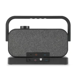 Lautsprecher für Fernseher, 2,4-GHz-Station + Bluetooth®, tragbar, stereo