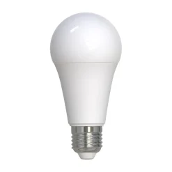 LED-Lampe, E27, 1521lm ersetzt 100W, Birne A60, matt, Neutralweiß, 2 Stück
