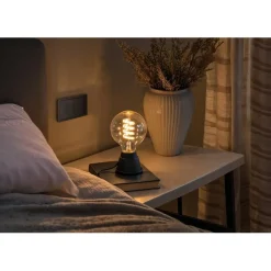 Smarte Lampe E27, LED, Matter, Filament Globe G95, RGBW, dimmbar, mit App