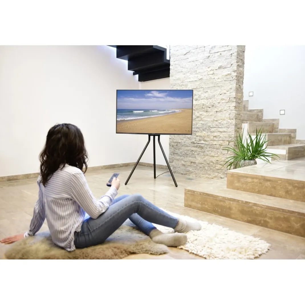 TV-Ständer, Staffelei freistehend, höhenverstellbar, 191 cm (75") bis 40 kg