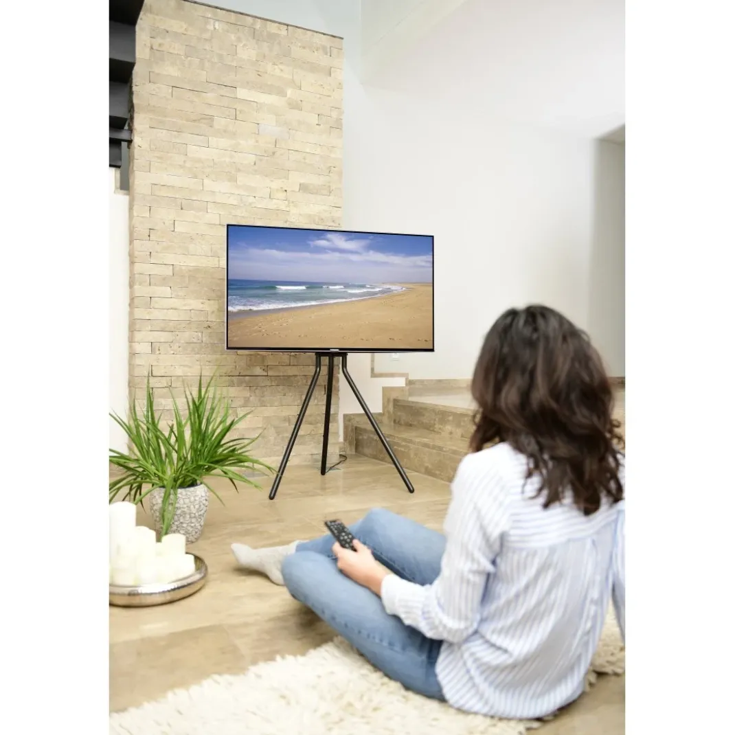 TV-Ständer, Staffelei freistehend, höhenverstellbar, 191 cm (75") bis 40 kg