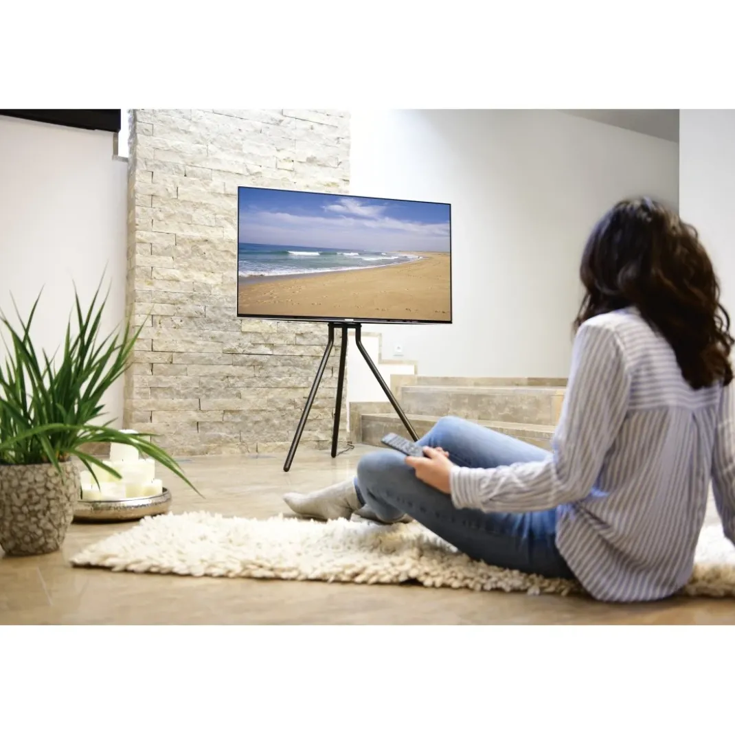 TV-Ständer, Staffelei freistehend, höhenverstellbar, 191 cm (75") bis 40 kg